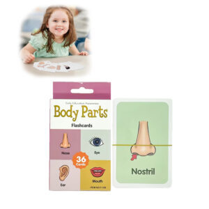 FLASHCARDS PARA NIñOS PARTES DEL CUERPO X 36 UNIDADES
