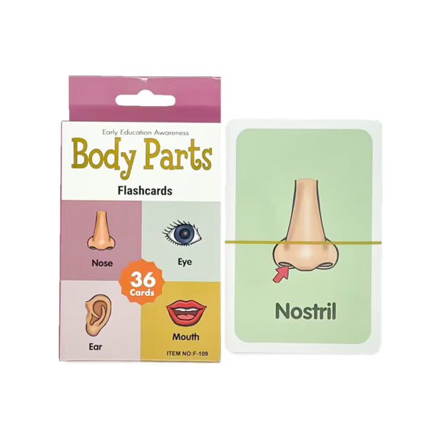 Flashcards Partes del Cuerpo