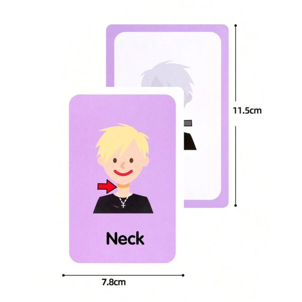 Flashcards Partes del Cuerpo