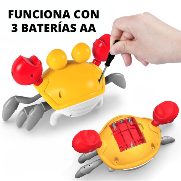 Cangrejo Musical Amarillo