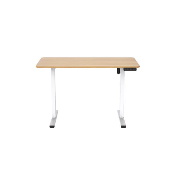 Escritorio eléctrico ajustable FlexiSpot Fq2-1260