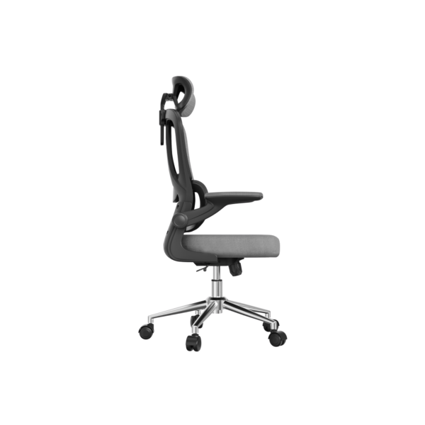 Silla Ergonómica OC19 FlexiSpot